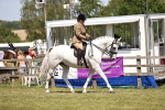 SBM_16207