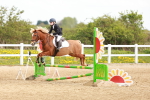 SBM_003870