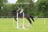 BPP_8680