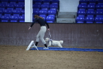 SBM_006067