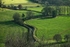 DSC06407