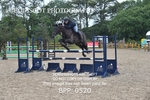 BPP_0520