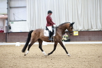 SBM_000181