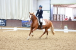 SBM_000966