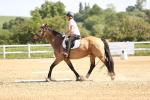 SBM_007809