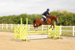 SBM_008919