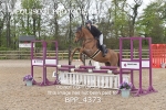 BPP_4373