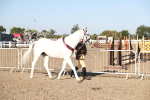SBM_00181