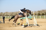 SBM_001133