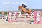 BPP_1240