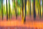Lychna Abstract