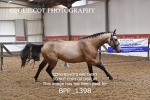 BPP_1398