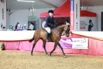 SBM_14884