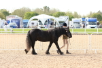SBM_17965