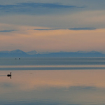 Swan Lake