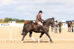 SBM_15474