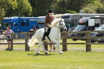 SBM_07062