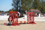 J 20 - Junior Horse 50cm Championship portfolio