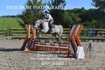 BPP_8560