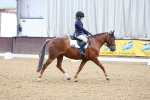 SBM_000847