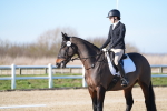 SBM_003335