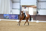 SBM_001564