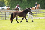 SBM_00636