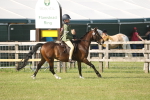 SBM_10201