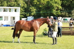 SBM_19302