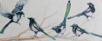 Magpie ChatterSOLD