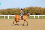 SBM_000407