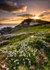 Cape Cornwall Sunset