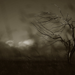 Momentary Singularity of Life