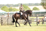 SBM_14867