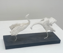 Crane dance