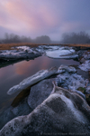 Winter Remains