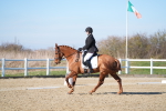 SBM_003360