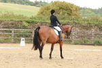 SBM_001771