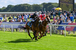 120626-Race 6-Rotokura Belle-8250
