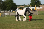 SBM_10551
