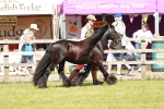 SBM_08540