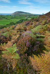 mamore Gap (07098271)