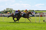 300526-Race 1-Forest Phoenix-0221