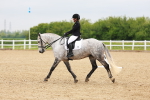 SBM_005799