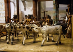 Mereruka Cattle Census Model