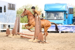 SBM_02888