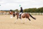 SBM_001851