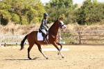 SBM_001358