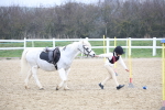 SBM_004049