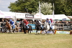 SBM_16570